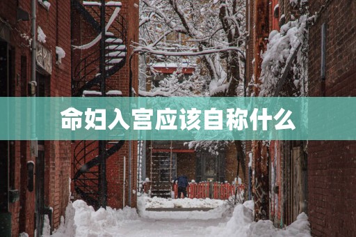 命妇入宫应该自称什么