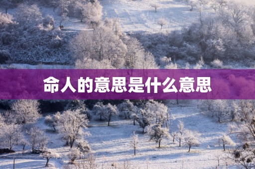 命人的意思是什么意思