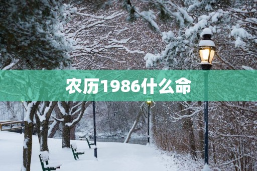 农历1986什么命