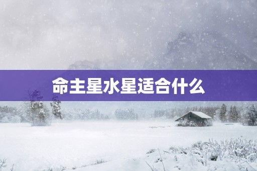 命主星水星适合什么