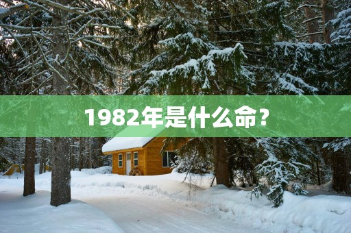 1982年是什么命？