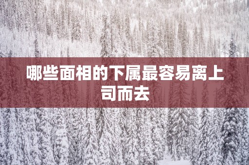 哪些面相的下属最容易离上司而去
