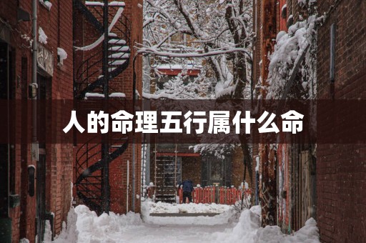 人的命理五行属什么命