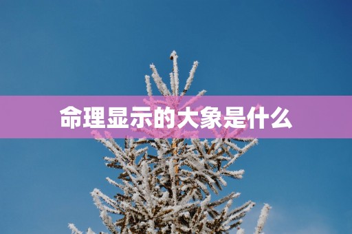 命理显示的大象是什么