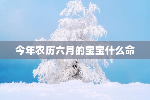 今年农历六月的宝宝什么命