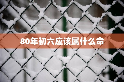 80年初六应该属什么命