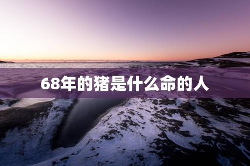 68年的猪是什么命的人