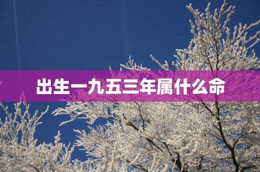 出生一九五三年属什么命