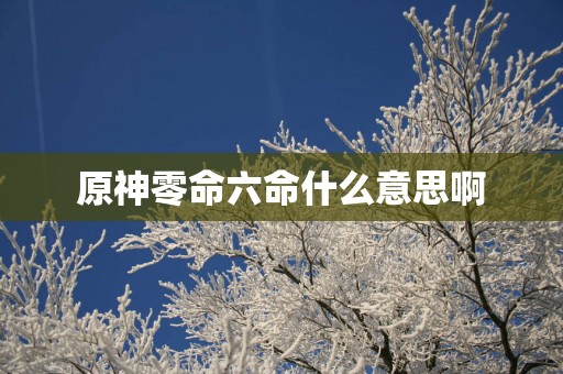 原神零命六命什么意思啊
