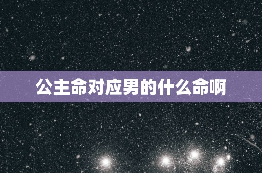 公主命对应男的什么命啊