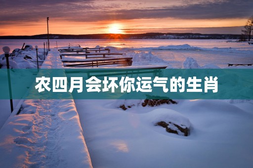 农四月会坏你运气的生肖