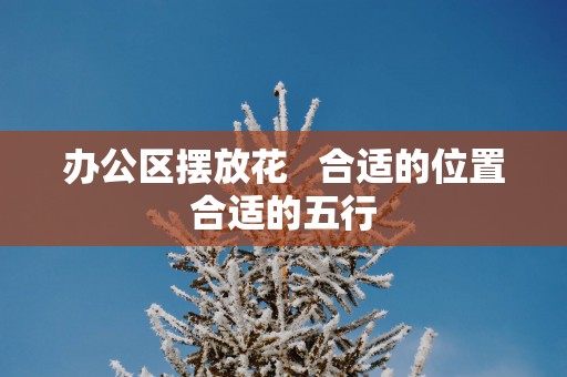 办公区摆放花   合适的位置合适的五行