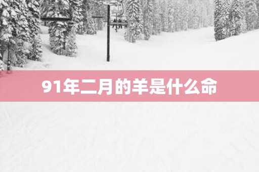 91年二月的羊是什么命