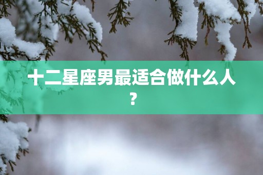十二星座男最适合做什么人？