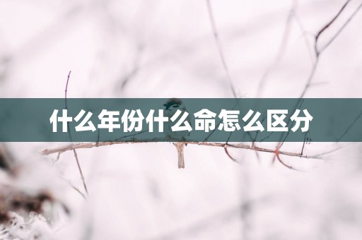 什么年份什么命怎么区分