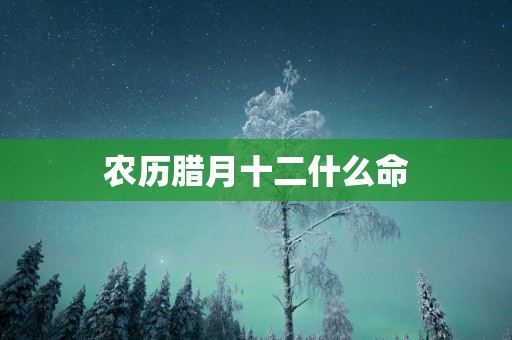 农历腊月十二什么命