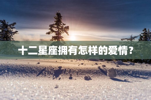 十二星座拥有怎样的爱情？