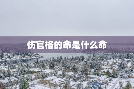 伤官格的命是什么命