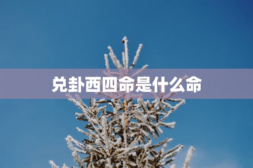 兑卦西四命是什么命