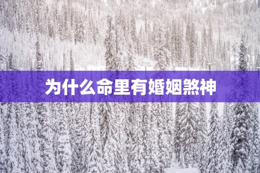 为什么命里有婚姻煞神