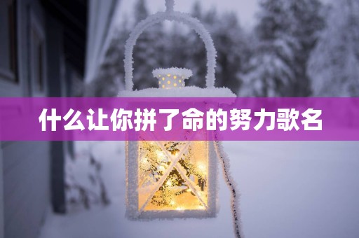 什么让你拼了命的努力歌名