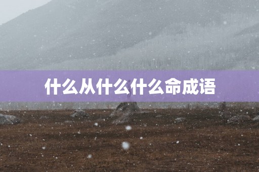 什么从什么什么命成语