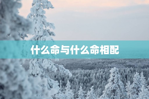 什么命与什么命相配