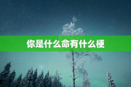 你是什么命有什么梗