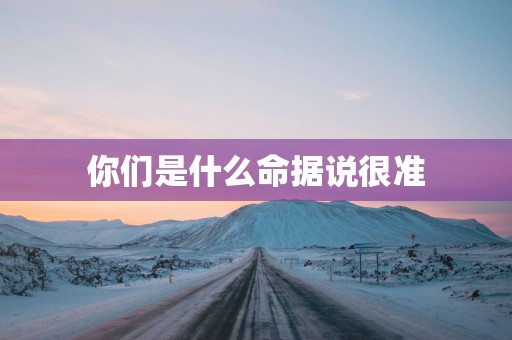 你们是什么命据说很准