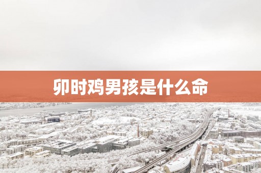 卯时鸡男孩是什么命