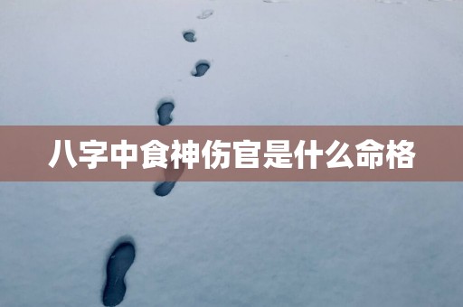 八字中食神伤官是什么命格