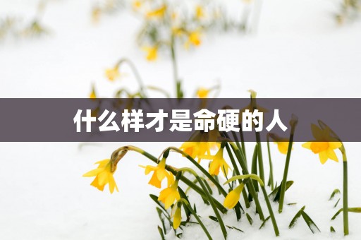 什么样才是命硬的人