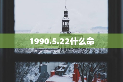 1990.5.22什么命