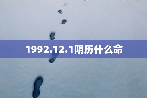 1992.12.1阴历什么命
