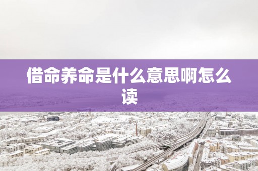 借命养命是什么意思啊怎么读