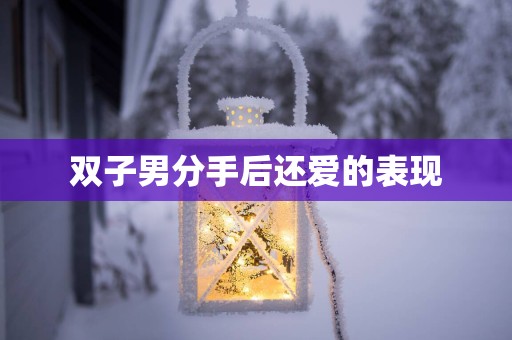 双子男分手后还爱的表现