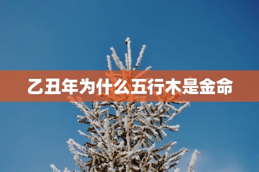 乙丑年为什么五行木是金命