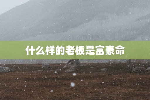 什么样的老板是富豪命