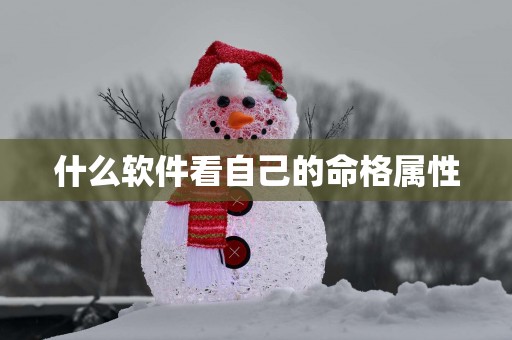 什么软件看自己的命格属性