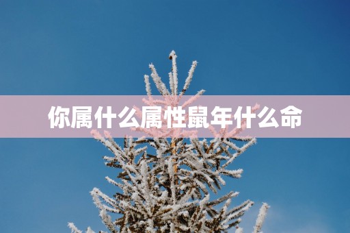 你属什么属性蛇年什么命