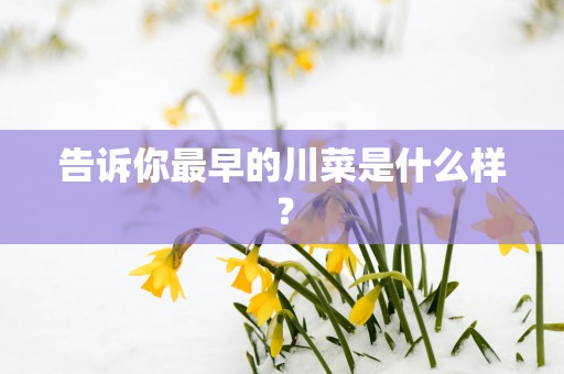 告诉你最早的川菜是什么样？