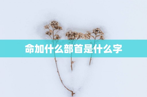 命加什么部首是什么字