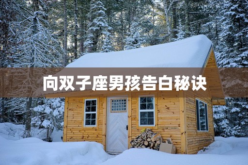 向双子座男孩告白秘诀