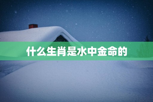 什么生肖是水中金命的