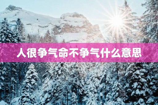 人很争气命不争气什么意思