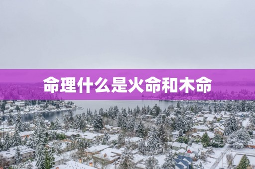 命理什么是火命和木命