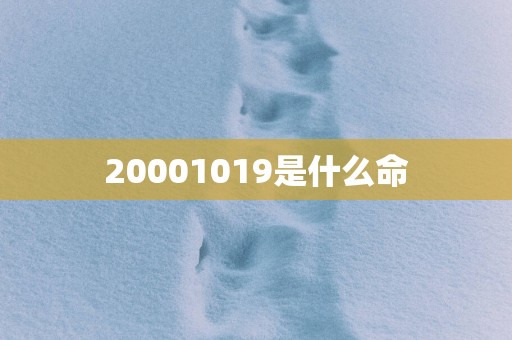 20001019是什么命