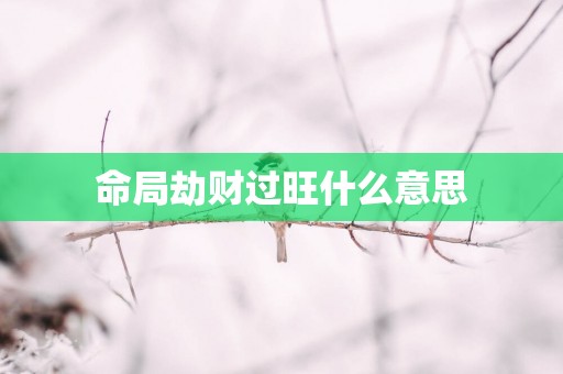 命局劫财过旺什么意思