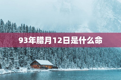 93年腊月12日是什么命