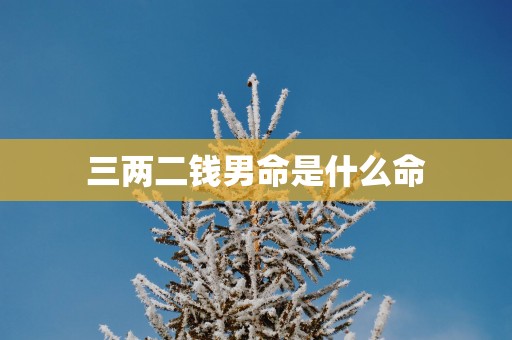 三两二钱男命是什么命